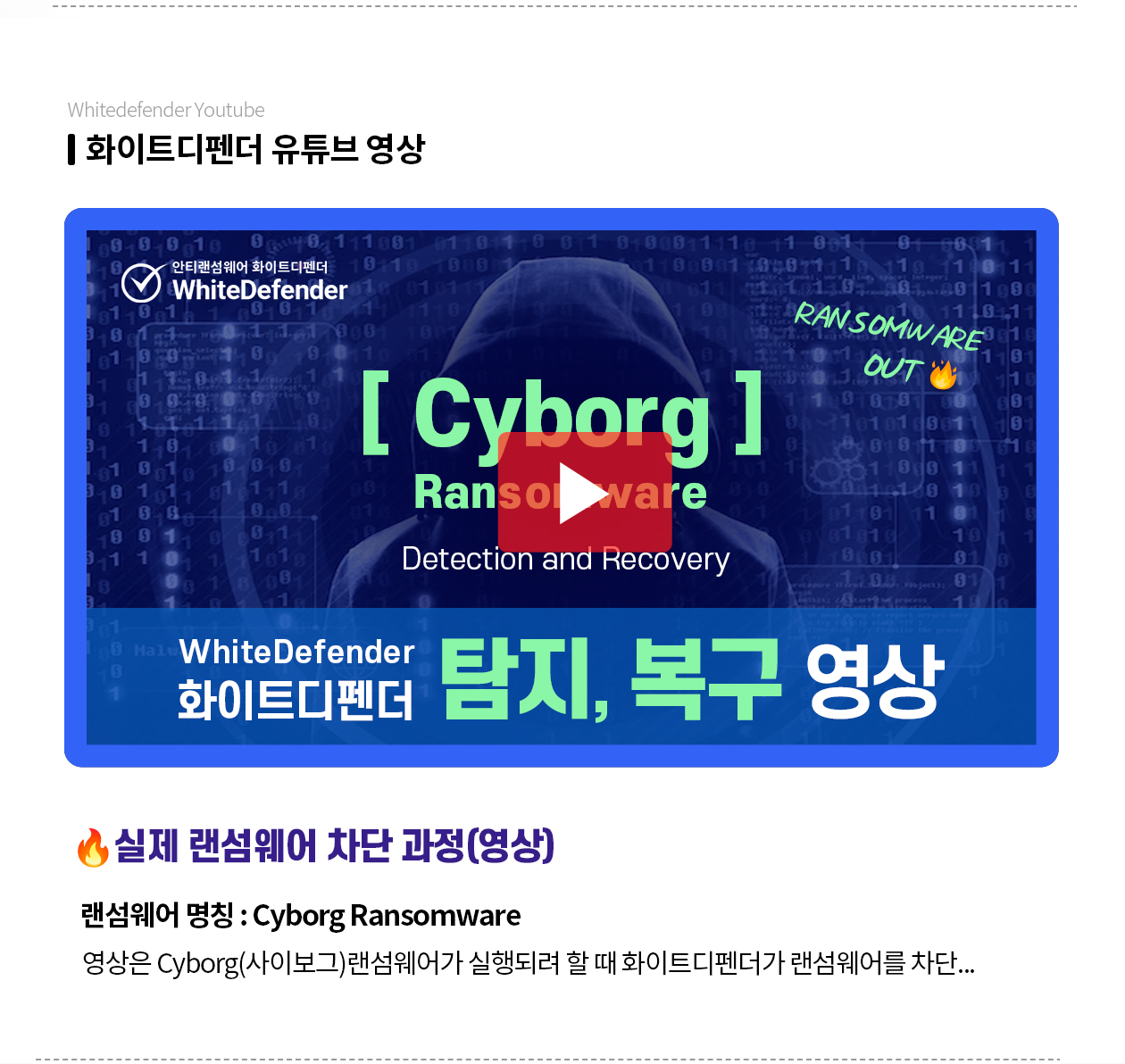 Cyborg 랜섬웨어 영상