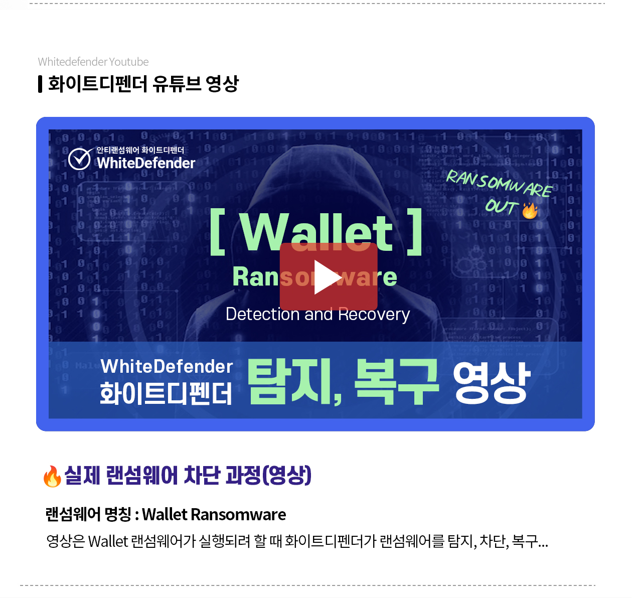 SatanCD  랜섬웨어 영상 보러 가기