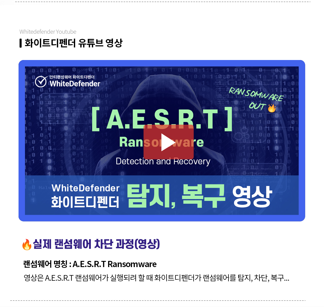 SatanCD  랜섬웨어 영상 보러 가기