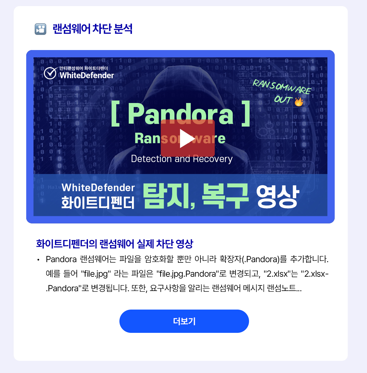 Pandora  랜섬웨어 분석 자료 보러 가기