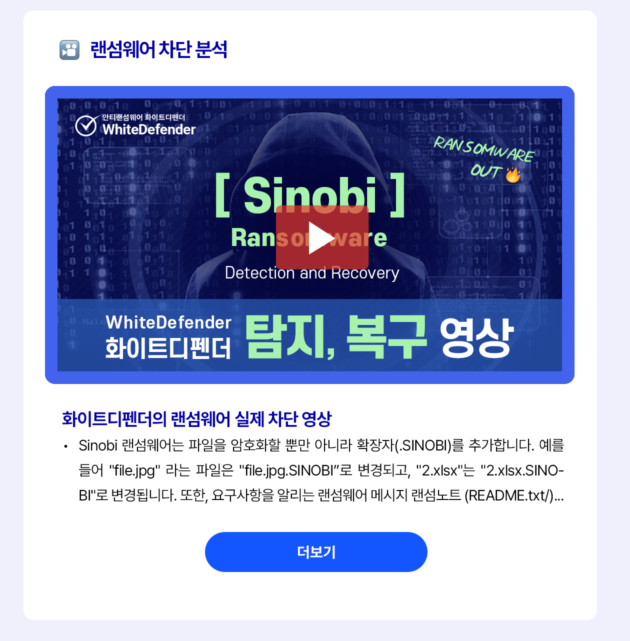 Sinobi 영상 소개(블로그)