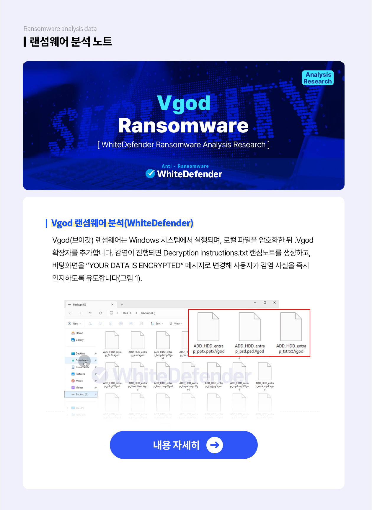 Vgod 랜섬웨어 분석 노트