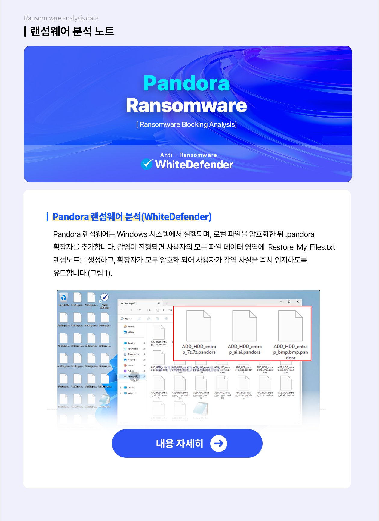 판도라 랜섬웨어 분석